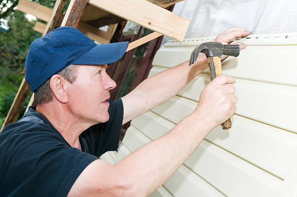 Best Carpet Removal and Disposal  in Muncie, IN